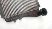 Ladeluftkühler VW Passat B6 (3C2)
