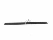 Türverkleidung links hinten Citroen DS4 (NX)