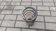 Federblatt links hinten Volvo V50 (545)