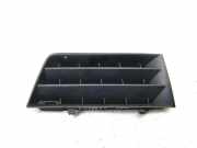 Gitter vorne unten RENAULT MEGANE II (BM0/1_, CM0/1_) 2.0 Renault Sport 8200114157E