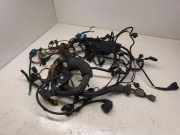 Motor Kabelbaum BMW X5 (E53) 4.4 i 7785049