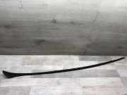 Zierleiste Windschutzscheibe Frontscheibe VW TOURAN (1T3) 1.6 TDI 1T0854327E