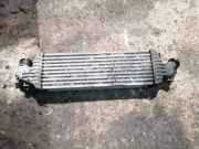 Ladeluftkühler NISSAN PRIMERA Hatchback (P12) 2.2 dCi 14461AW300