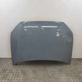 Motorhaube AUDI Q2 (GA) 35 TFSI 81A823029