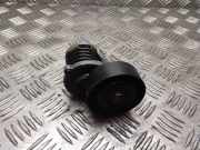 Riemenspanner VW PASSAT B5 (3B3) 1.9 TDI 950330