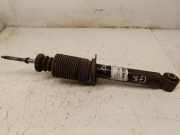 Stoßdämpfer hinten links NISSAN PRIMERA (P12) 1.8