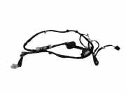 Kabel Tür Lexus IS 3 (E3) 8215353