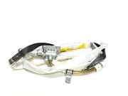 SRS Modul Dach links BMW X5 (E53) 3.0 i 8482671573