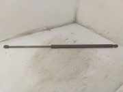 Heckklappe Gasdruckfeder rechts VW CADDY III Furgon (2KA, 2KH, 2CA, 2CH) 1.9 TDI 2K0827550