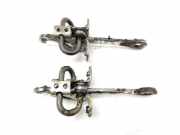 Türanschlag vorne links