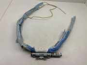 Airbag Dach links Ford Kuga () 81312950