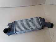 Ladeluftkühler Peugeot 407 Coupe () 9645682880