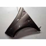 Kotflügel vorne links FIAT BRAVO II (198_) 1.9 D Multijet