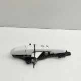 Türaußengriff hinten links