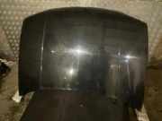 Motorhaube VW GOLF IV (1J1) 1.9 TDI