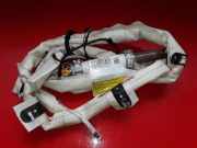 Dach SRS rechts SKODA SUPERB II (3T4) 2.0 TDI 049RBP04CRC2 3T5880742