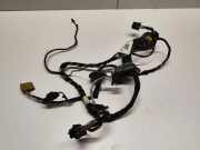 Kabel der vorderen linken Tür MERCEDES-BENZ GL (X164) GL 450 4-matic (164.871)