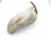 Ausgleichsbehälter SUBARU LEGACY V (BM) 2.0 i AWD