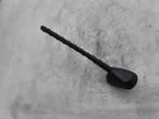 Antenne HYUNDAI SANTA FÉ II (CM) 2.2 CRDi GLS