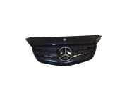 Kühlergrill oben Mercedes-Benz Citan Mixto (W415) 623101421R