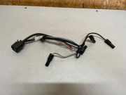 Glühkerzenkabel BMW 1 (F21) 116 d 758061206