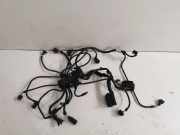 Motor Kabelbaum BMW 6 Gran Coupe (F06) 650 i 8605838