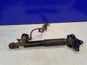 Stoßdämpfer rechts hinten Lexus RX 4 (L2) 4853048400