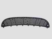Gitter vorne unten SEAT TOLEDO III (5P2) 1.9 TDI ST0701201
