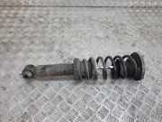 Stoßdämpfer hinten links BMW 6 Coupe (F13) 640 d
