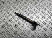 Einspritzdüse BMW 5 Gran Turismo (F07) 530 d xDrive 05233