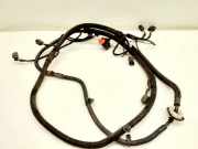 Kabelbaum Hinteren Parksensoren CITROËN DS4 1.6 VTi 120 9673376380