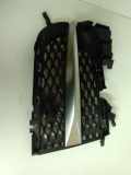 Gitter Grill vorne rechts JAGUAR XF (X250) 2.2 D GX6M8B289D