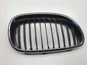 Gitter Grill vorne rechts BMW 5 Touring (E61) 530 xd 7027062