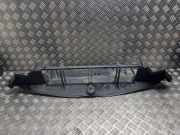 Kühlerluftumlenker MERCEDES-BENZ E Cabrio (A207) E 250 CDI / BlueTEC / d (207.403, 207.404) A2075052830