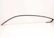 Dachleiste links BMW 5 Gran Turismo (F07) 530 d 7196359 7196419