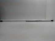 Heckklappendämpfer links VW Passat B5.5 Variant (3B6)