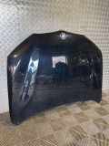 Motorhaube BMW X1 (F48) xDrive 18 d 7463772