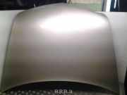 Motorhaube RENAULT VEL SATIS (BJ0_) 3.0 dCi (BJ0J, BJ0N)