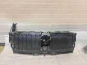 Vorderer oberer Gitter BMW 4 Coupe (G22, G82) 420 i 1.6 22175P10005