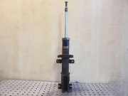 Stoßdämpfer vorne rechts RENAULT TRAFIC II Furgon (FL) 2.0 dCi 115 (FL01, FL0U)