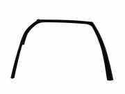 Türdichtungsgummi hinten rechts PEUGEOT 4008 1.8 HDi AWC 3X4JS05