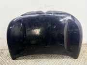 Motorhaube CITROËN C4 X (BD_, BE_, BF_) ë-C4 X (BFZKXC)