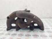 Auspuffkrümmer VW Passat B5.5 (3B3) 06B253033