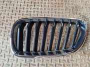Vorderer oberer Gitter BMW 2 Coupe (F22, F87) 218 d 7295523