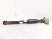 Stoßdämpfer hinten links AUDI A4 Allroad (8KH, B8) 2.0 TDI quattro 8K0513028DG