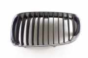 Kühlergrill oben BMW 5er Touring (E61) 7322209