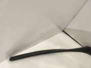 Windlauf Renault Trafic III Kasten (FG) 727618104R