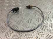 Lambdasonde BMW X1 (F48) 8604889