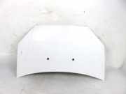 Motorhaube FIAT DOBLO Cargo (223_) 1.3 D Multijet