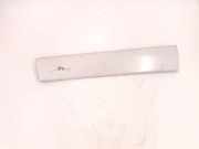 Armaturenbrett Verkleidung